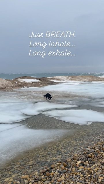 Fill the whole lungs.  Go for 10. 🕊️💙🥰 #peaceout #breathinbreathout #lakemichiganbeach #providenceorganicfarmers