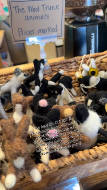 @wooltrunk outdid herself!  We have so many all-natural woolen animals for farm visitors to take home! #providenceorganicmarket #farmfriends #charlevoixmichigan #elkrapidsmichigan #torchlake