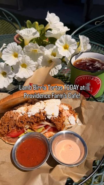 Lamb Birria Tortas & Mushroom veggie Tortas today at Providence Organic Cafe!!! #sogood #authenticmexicanfood #torchlake #bellairemichigan #charlevoixmichigan