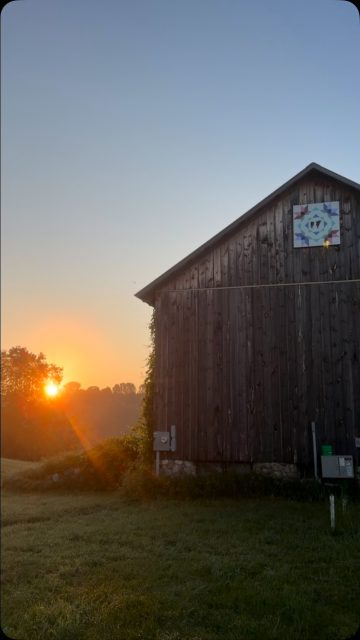 Good Friday morning!  French pastries, Baja-Style Fish Tacos, Hot Tamales, Organic Groceries and much more Friday & Saturday @providenceorganicfarm #bellairemichigan #centrallakemichigan #charlevoixmichigan #elkrapidsmichigan #providenceorganiccafé