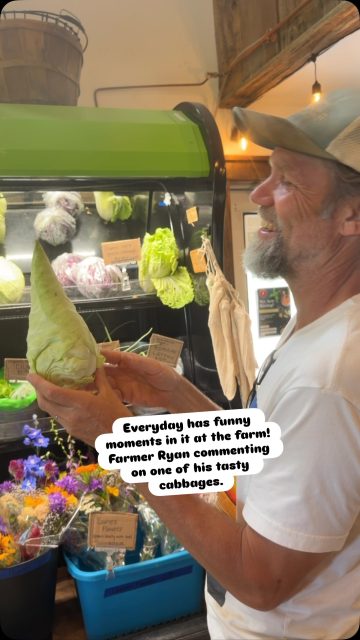 Farmer Ryan harvested so many organic veggies this week!  Arugula, spinach, lettuce mix, bok choy, garlic scapes, Romaine lettuce, butter lettuce, dill, parsley, cilantro, cabbage, squash, cucumbers, zucchini, radishes, kale, chard, turnips and more!!! See you at Providence Farm Market (M-Sat, 8-6) , Elk Rapids Farmers Market (Friday) Boyne or Traverse (Sat) Charlevoix (Thursday) #torchlake #bellairemichigan #centrallakemichigan #charlevoixmichigan #elkrapidsmichigan