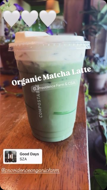 It’s a good day at Providence Organic Farm.  Sip & Shop certified-organic, parasite-free produce harvested daily from our 25 acres of gardens! #bellairemichigan #centrallakemichigan #torchlake #charlevoixmichigan #elkrapidsmichigan