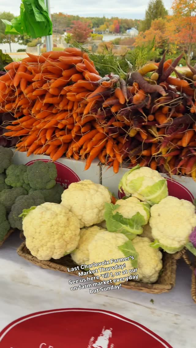Last Charlevoix Farmer’s Market Thursday! 
See us here ‘till 1, or at our on-farm market everyday but Sunday!  We carry many other local food and other items.  We also have a Farm To Table cafe that serves breakfast, lunch, hot soup, sandwiches, and salad salads. (and we have very cool monthly dinners). We’re open year-round, 9-5:30, and located on M-88, one mile east of US 31 at Eastport, MI. #bellairemichigan #torchlake #centrallakemichigan #charlevoixmichigan #elkrapidsmichigan