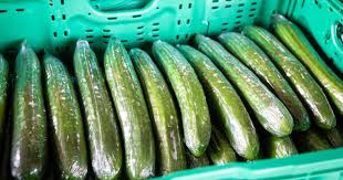 Cucumber, OG