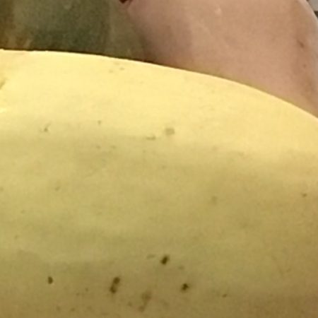 Organic Squashes