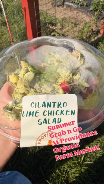 Need a quick (& delicious!) bite to eat? This and so much more available at Providence Organic Farm Market, Cafe & Natural Food Store! We use certified organic chicken, grow certified organic fruits & vegetables, source organic ingredients for all our cafe offerings and raise grass-fed beef & lamb.  All available at our farm on the north end of Torch Lake! Open 9-6 Monday - Saturday! #centrallakemichigan #bellairemichigan #torchlakemichigan #elkrapidsmichigan #charlevoixmichigan