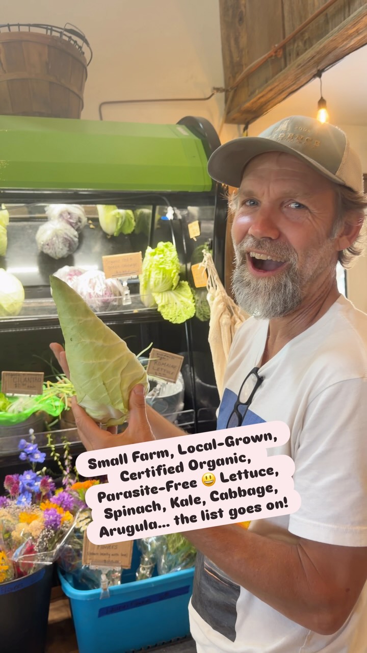 Local-grown, certified-organic & 😃 Parasite-Free!?!Who knew that’d be a thing this summer?😱Thankfully, Farmer Ryan grows A LOT of veggies on a small, local farm in northern Michigan! 😊🌱❤️ Here’s the list so far and it’s only getting bigger as we harvest more in-season veggies! Arugula, basil, cabbage, cucumbers, cilantro, dill, fennel, kale, green onions, fennel, all types of lettuces, radicchio, spinach, kale varieties, mesclun mix, garlic, radish, parsley, summer squash, zucchini and much more!  You can come to our farm. We’re open 8 to 6 every day but Sunday! And we also have a Cafe if you feel like you would love to eat out. (Casual Dine-in or TOGO). We are located on M-88, one mile east of US 31 (on the north end of Torch Lake.). We also attend farm markets: Wednesday, Boyne city. Thursday, Charlevoix. Friday, Elk Rapids, Saturday, Boyne City & Traverse City. Shop local, shop small & know your farmer! 😁 #torchlake #centrallakemichigan #bellairemichigan #elkrapidsmichigan #charlevoixmichigan