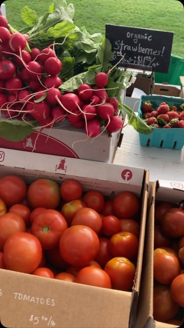 Providence Farm’s Thursday, Friday & Saturday markets are popping! #torchlake #centrallakemichigan #charlevoixmichigan #elkrapidsmichigan #providenceorganicfarmmarket