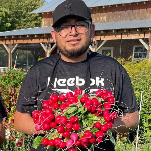 🌼 Roman made his Baja-Syle fish tacos for us here at Providence
Hands-down the BEST. FISH. TACOS. we've ever had in our lives. (YES, he's Baja born and raised!). We sourced locally-caught whitefish from Park Family Fish the results are AMAZING.
 
🌼 We open at 8:00 AM for Breakfast & Burritos! All the rest is served starting at 10:00 AM. (See menu)

🌼 YES, we still have room for you to join Providence's CSA! 
You can still get a weekly (or bi-monthly) box full of beautiful produce from a farmer you know and a farm you can visit, with recipes and storage tips (see this week's newsletter)

🌼 Join TODAY and score a LOVELY MARKET TOTE! (https://providenceorganicfarm.com/csa-summer-shares/)

🌼 Here's the line-up of all the fresh fruits and veggies you can find at our markets (here at the farm, 8-6, and at the TC & Boyne market 'till noon)
- The BEST ever-bearing STRAWBERRIES, CANTALOUPE & WATERMELONS!
- Lettuce Heads of all kinds, Kale & Cabbage, Broccoli 
- Triple-rinsed and spun dry: Arugula, Lovely Lettuce Mix, Spinach, Mesclun sweet & spicy mix
-Cilantro, Chives, Dill, Parsley
-Green & Purple Sweet Peppers, Jalapeno Peppers 
- Rosy Radish, Salad Turnips, 3 different kinds of Beautiful Beets, Orange & Rainbow carrots
- Cucumbers, Eggplant, Squash, Zucchini
- Galic, Green onions, Sweet Onions
- Tomatillos & New Potatoes
- Heirloom Tomatoes, Beefsteak Tomatoes, Roma Tomatoes (Sale: Buy 20lbs Romas for $40!)
🌼 Have a great weekend, whatever you do!  Providence Farmers, Andrea & Ryan