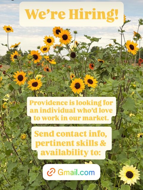 🌻If you’ve ever visited, you know the vibe!  We have hands-down, the most fantastic community of people who visit us Monday through Saturday. 
🌻We are very blessed in that our customers are gracious, inspiring, friendly & warm. 
🌻We’re looking for someone who can match that energy, provide excellent customer service.  Plus: help us maintain a beautiful, clean atmosphere, and efficient, well-running market. 
🌻 We can train the right individual to make excellent well-crafted coffees, if that’s currently not in your wheelhouse.
🌻 This is a very active job. Individuals must be able to walk, stand, lift and carry heavy produce, and navigate a flight of stairs multiple times a day. 
🌻 Please send your contact information, pertinent job experience and availability to ProvidenceCSA@gmail.com. 
🌻Thanks for reading! 
🌻- Farmers, Andrea & Ryan