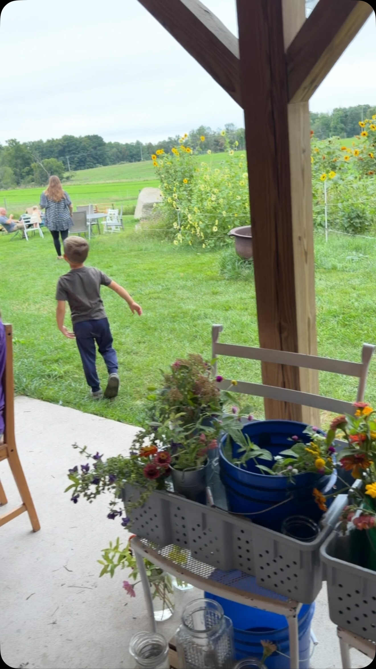 Labor Day weekend is hopping already at Providence Organic Farm, Market & Cafe!  We just received our authentic French pastry order from Gilda’s, are flooded with fresh organic SWEET CORN & STRAWBERRIES, WATERMELON & CANTALOUPE, TOMATOES & SO MUCH MORE. Flowers are $1 a stem. Farm tour, Friday at 1:00 to see Fuzzy Faces & the old beaver dam. 😃🍓🌽🌻🌱 Providence Farm is located on M-88, 1 mile east of US 31 at Eastport. (If you’re coming from Central Lake or Bellaire, take either Old State road or Bellaire Highway to east Torch Lake Drive to get here.)