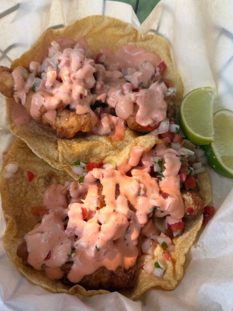 Roman made his Baja-Syle fish tacos for us here at Providence

Hands-down the BEST. FISH. TACOS. we’ve ever had in our lives.

We sourced locally-caught whitefish from Park Family Fish the results are AMAZING. 

So we’re having them again, this Saturday!

We open at 9:00 AM for Breakfast & Burritos! All the rest is served starting at 10:00 AM. 

YES, we still have room for you to join Providence’s CSA! 

Join now and get weekly boxes full of beautiful produce from a farmer you know and a farm you can visit.

We deliver to 10 local towns all year round.  Hit the tab at for “2026 Growing Season CSA” (https://providenceorganicfarm.com/csa-summer-shares/) at our website, and the software will calculate the weeks remaining in our season.

These sweet families met me in parking lot Q (Thursday’s after-school pick-up by Munson Hospital).

CSA Farm Boxes are perfect for veggie lovers & home cooks who know they’d love to be treated to a nice variety of hyper-fresh, local organic veggies every week, or every-other-week, year-round. 

Many of our subscribers have been with us for 15+ years!

Rather shop a la carte?  We bring all our produce to seaonal farm markets at Boyne & TC (Saturday’s), Elk Rapids (Friday), and Charlvoix (Thursday) until they’re done for the season. 

OUR AT HOME FARM MARKET IS OPEN YEAR-ROUND.

We appreciate our customers anyway you choose to participate.

Providence Farmers, 
Andrea & Ryan #torchlakemichigan #traversecitymichigan #charlevoixmichigan #elkrapidsmichigan #bellairemichigan