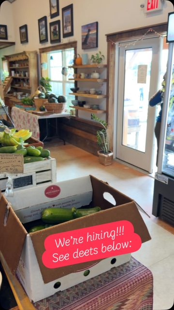 🌻If you’ve ever visited, you know the vibe!  We have hands-down, the most fantastic community of people who visit us Monday through Saturday. 
🌻We are very blessed in that our customers are gracious, inspiring, friendly & warm. 
🌻We’re looking for someone who can match that energy, provide excellent customer service.  Plus: help us maintain a beautiful, clean atmosphere, and efficient, well-running market. 
🌻 We can train the right individual to make excellent well-crafted coffees, if that’s currently not in your wheelhouse.
🌻 This is a very active job. Individuals must be able to walk, stand, lift and carry heavy produce, and navigate a flight of stairs multiple times a day. 
🌻 Please send your contact information, pertinent job experience and availability to Alison@providenceorganicfarm.com
🌻Thanks for reading! 
🌻- Farmers, Andrea & Ryan