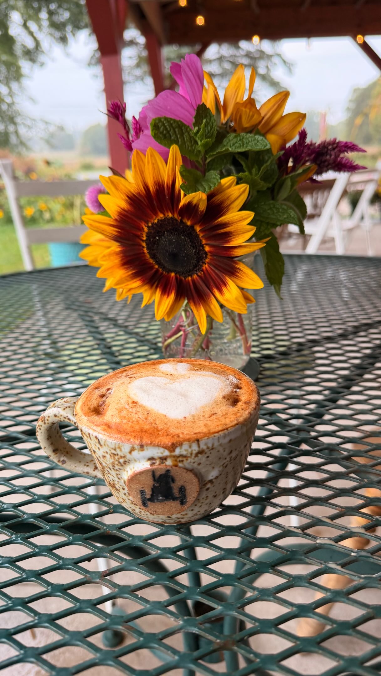 🌻Autumn rocks here. Come see (and taste!) the magic!  U-pick flower garden is OPEN. 🌻🌸🌺🌼🌻#providenceorganiccafé #organicvegetables🍆🥕🌶️ #bellairemichigan #charlevoixmichigan #torchlakemichigan