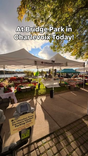 They moved the market to Bridge Park today in Charlevoix (so people can get ready for Apple Fest!)
It’s Thursday, October 8th.  We’re here with a lot of amazing vendors until 1:00 PM. 😊🍂🍁🥬🍆🥦🥕🍅🥔🫜🧅🫑 #charlevoixfarmersmarket #providenceorganicfarmers #charlevoixmichigan #bridgeparkcharlevoix #organicveggies